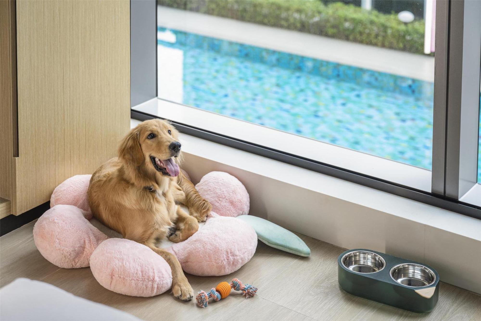 Hyatt Place New Taipei City ซินจวง ภายนอก รูปภาพ